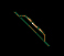 Avalon UO Bow