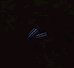 Midnight Bracers